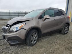 Salvage cars for sale from Copart Louisville, KY: 2014 Buick Encore