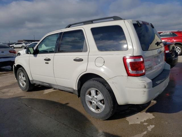 2009 Ford Escape XLT