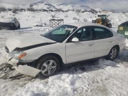 Ford salvage cars for sale: 2004 Ford Taurus SE