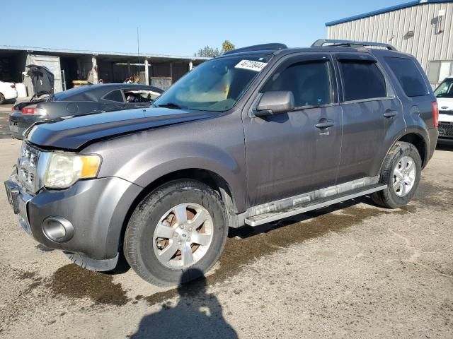 2010 Ford Escape Limited