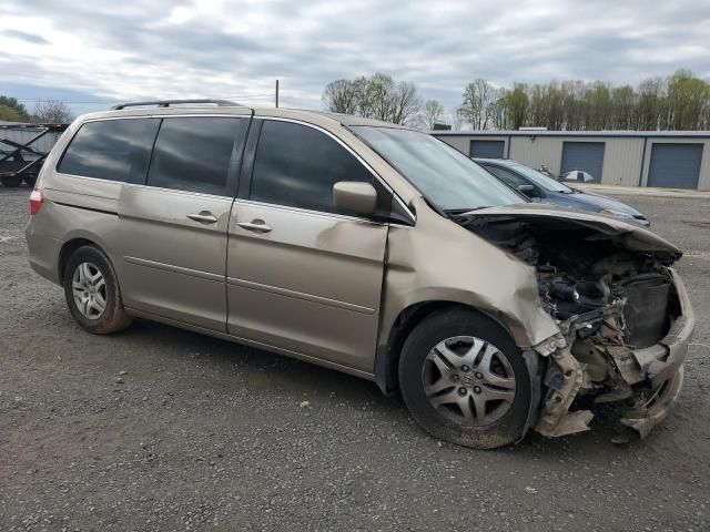 2006 Honda Odyssey EXL