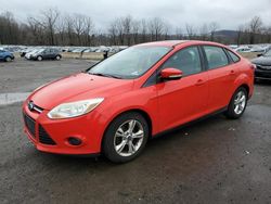 Salvage cars for sale from Copart Marlboro, NY: 2013 Ford Focus SE