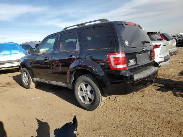 2009 Ford Escape XLT