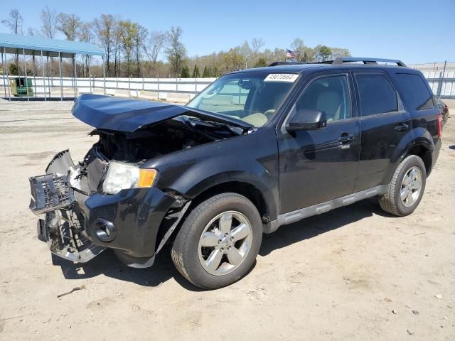 2011 Ford Escape Limited