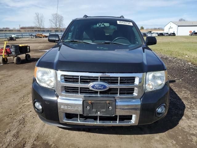 2011 Ford Escape Limited