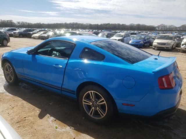 2010 Ford Mustang