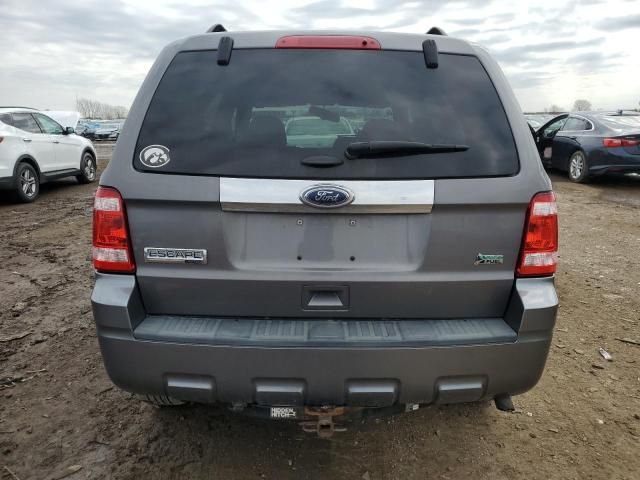 2011 Ford Escape Limited