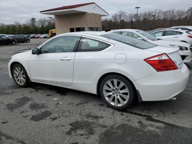 2010 Honda Accord EXL