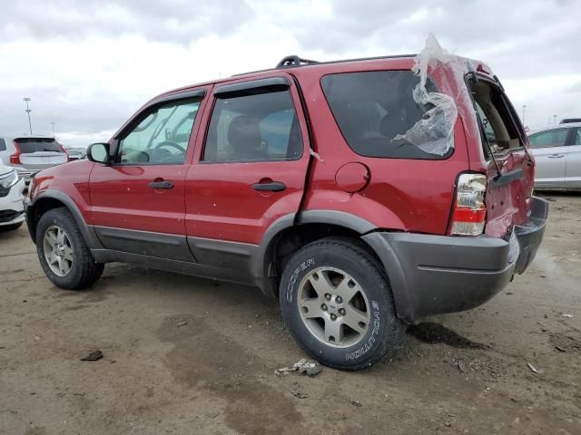 2004 Ford Escape XLT