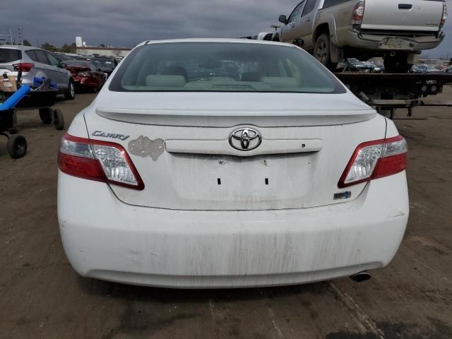 2008 Toyota Camry Hybrid