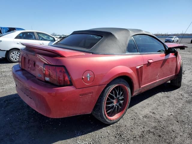 2000 Ford Mustang