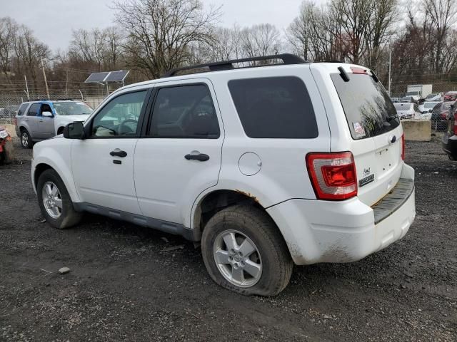 2011 Ford Escape XLT