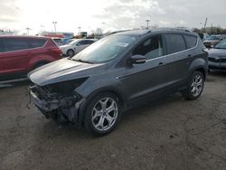 Salvage cars for sale at Indianapolis, IN auction: 2017 Ford Escape Titanium