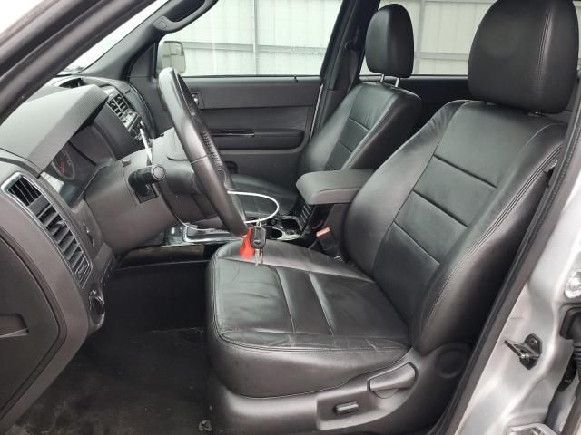 2010 Ford Escape Limited