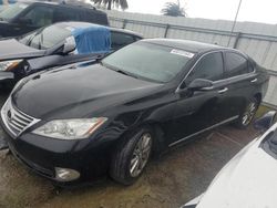 Salvage cars for sale at Vallejo, CA auction: 2012 Lexus ES 350