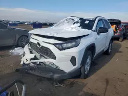 Salvage cars for sale at Brighton, CO auction: 2021 Toyota Rav4 LE