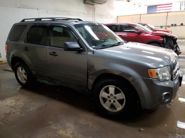 2009 Ford Escape XLT