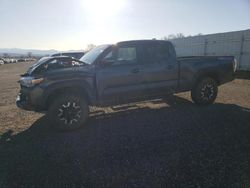 Vehiculos salvage en venta de Copart Anderson, CA: 2023 Toyota Tacoma Double Cab