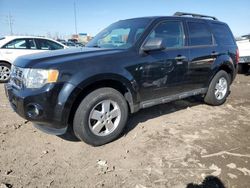 Salvage cars for sale from Copart Columbus, OH: 2012 Ford Escape XLT
