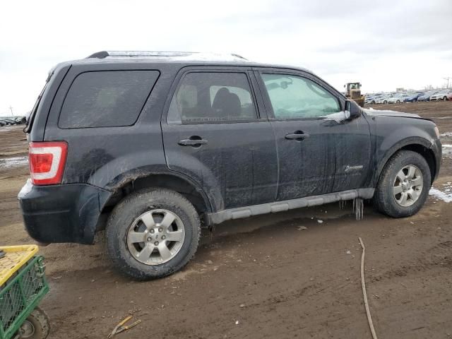 2009 Ford Escape Hybrid