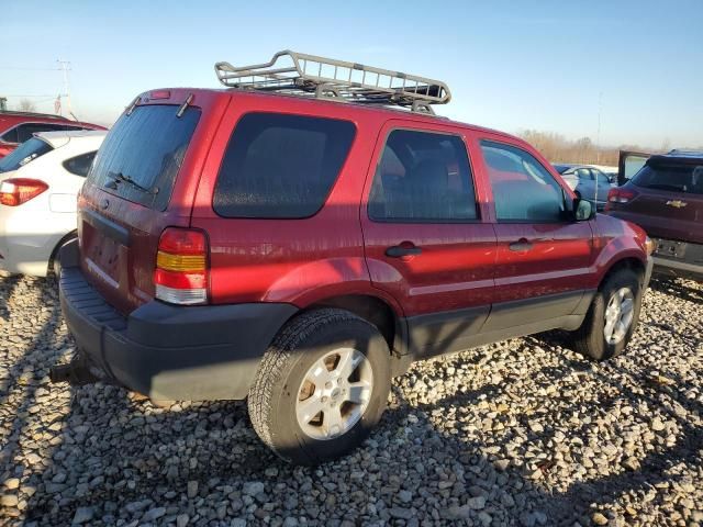 2005 Ford Escape XLT