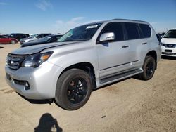 Salvage cars for sale at Amarillo, TX auction: 2013 Lexus GX 460