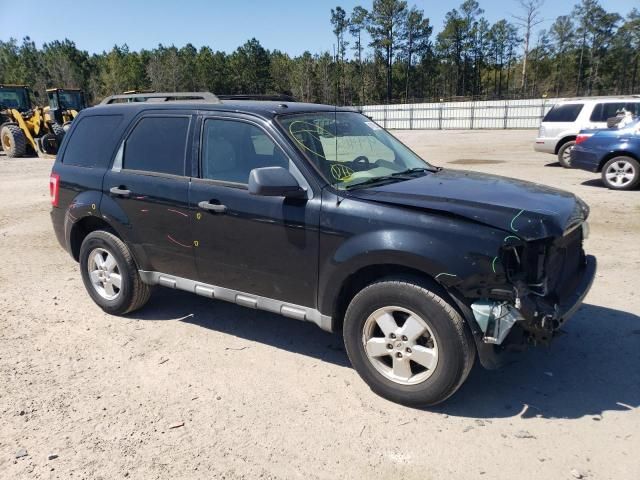 2010 Ford Escape XLT