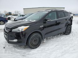 Salvage cars for sale from Copart Rocky View County, AB: 2013 Ford Escape Titanium