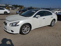 2013 Nissan Maxima S for sale in Harleyville, SC