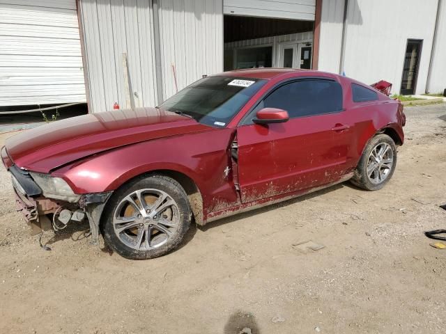 2014 Ford Mustang