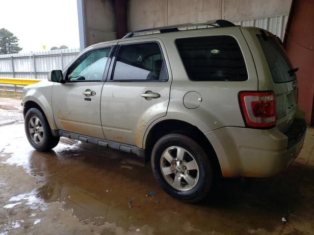 2012 Ford Escape Limited