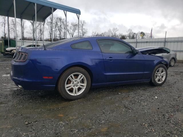 2013 Ford Mustang