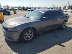 Salvage cars for sale from Copart Rancho Cucamonga, CA: 2018 Dodge Charger SXT