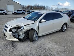 Chevrolet Malibu 1LT salvage cars for sale: 2013 Chevrolet Malibu 1LT