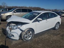 Ford Focus SE salvage cars for sale: 2013 Ford Focus SE