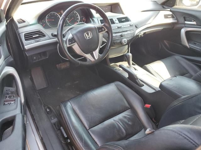 2009 Honda Accord EXL