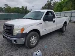 Salvage cars for sale at Riverview, FL auction: 2013 Ford F150