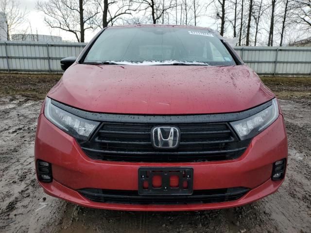 2024 Honda Odyssey Sport