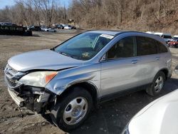 Salvage cars for sale at Marlboro, NY auction: 2010 Honda CR-V EX