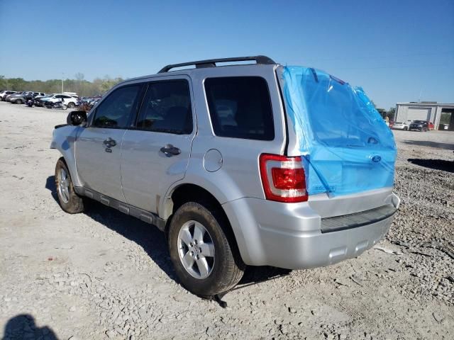 2009 Ford Escape XLT