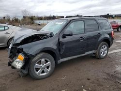 Salvage cars for sale at Columbia Station, OH auction: 2012 Ford Escape Limited