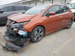 Salvage cars for sale at Louisville, KY auction: 2022 Nissan Leaf SV
