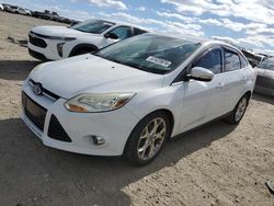 Ford Focus SEL salvage cars for sale: 2012 Ford Focus SEL