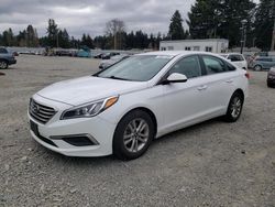 Vehiculos salvage en venta de Copart Graham, WA: 2016 Hyundai Sonata SE