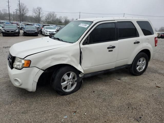 2009 Ford Escape XLT