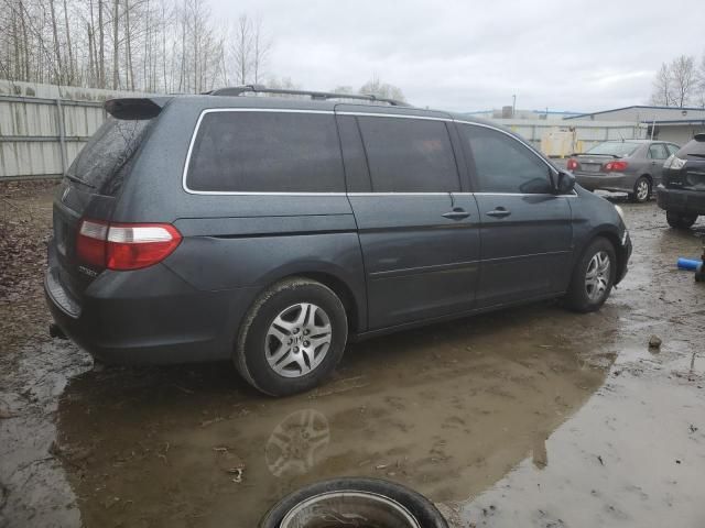 2005 Honda Odyssey EXL