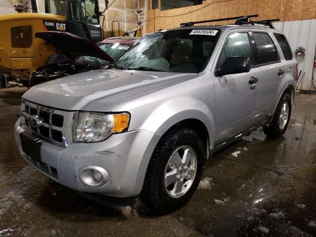 2010 Ford Escape XLT