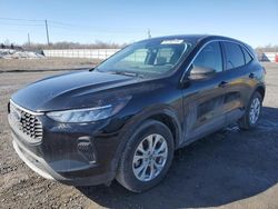 Salvage cars for sale from Copart Ontario Auction, ON: 2023 Ford Escape Active