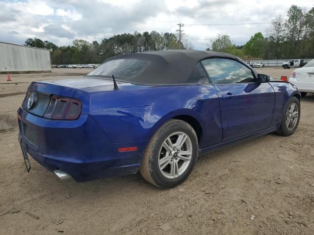 2014 Ford Mustang