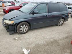 2003 Honda Odyssey EXL en venta en Indianapolis, IN